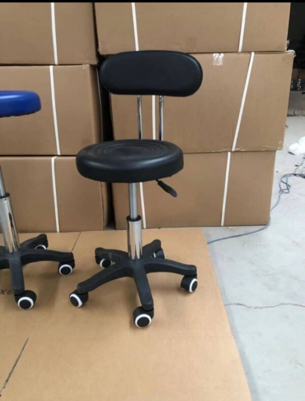 Laboratory stool with back rest